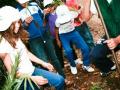 Atalaia 2011
